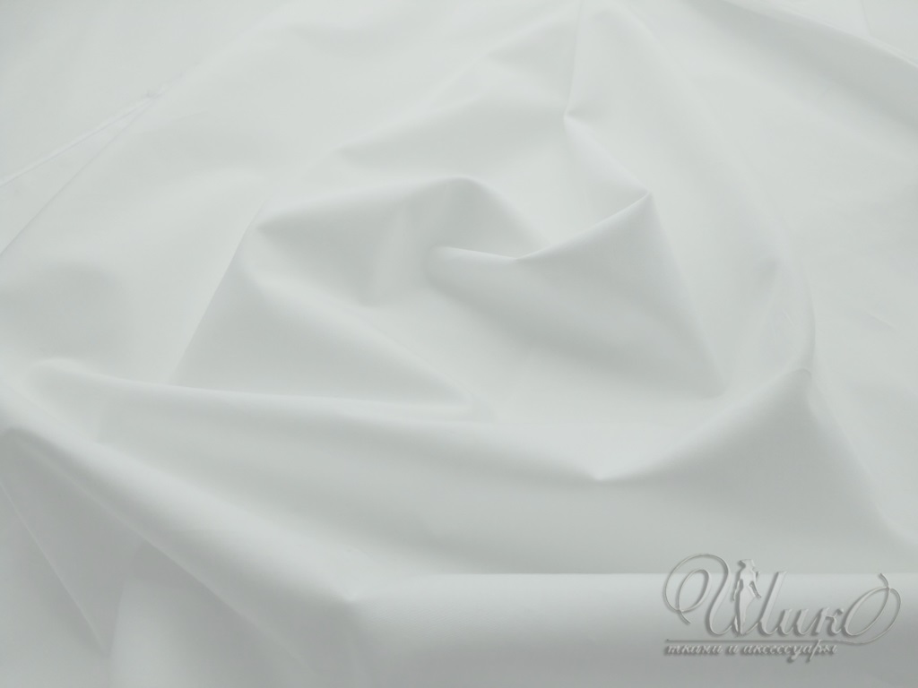 Ткань Хлопок  11919 2